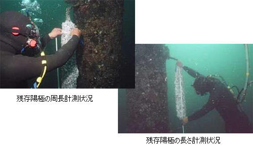 陽極の消耗量調査